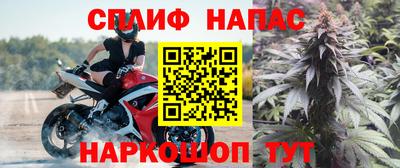 твердый Новокубанск