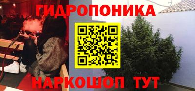 jwh Новозыбков